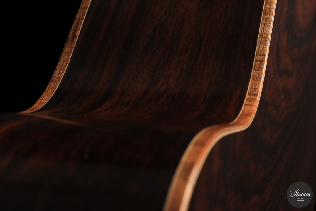 Ashley Sanders - 2026 - No. 77