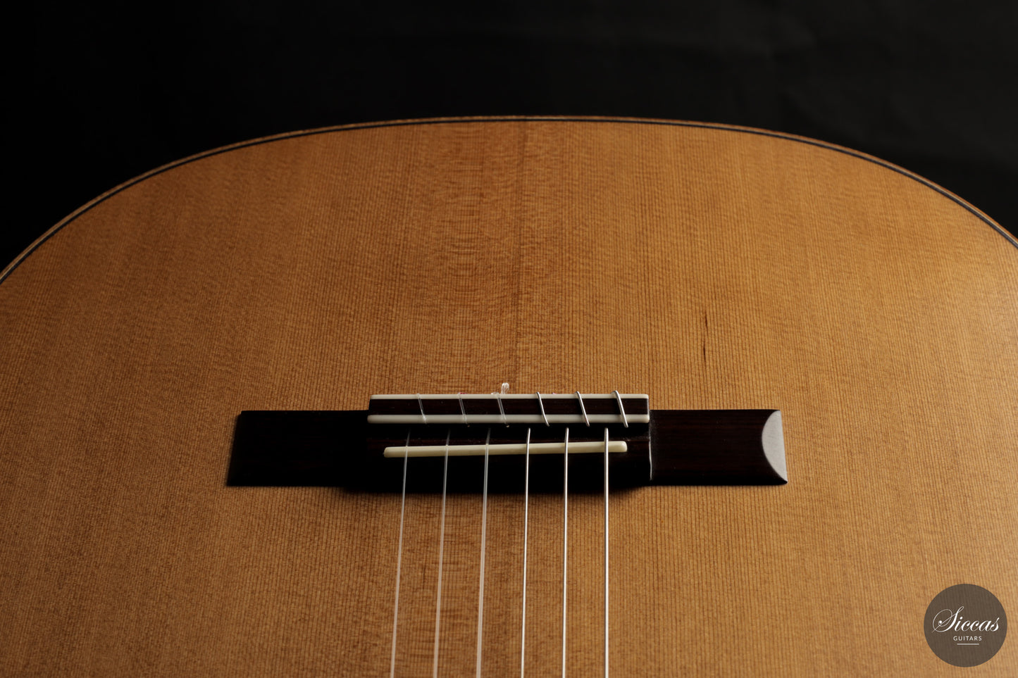 Ashley Sanders - 2026 - No. 77