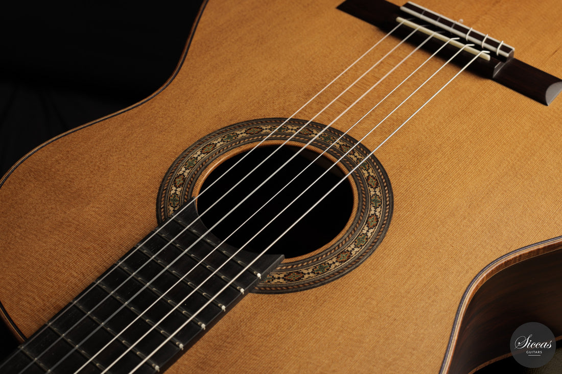 Ashley Sanders - 2026 - No. 77