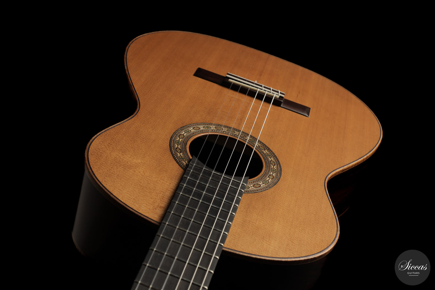 Ashley Sanders - 2026 - No. 77