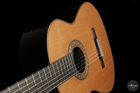 Ashley Sanders - 2026 - No. 77