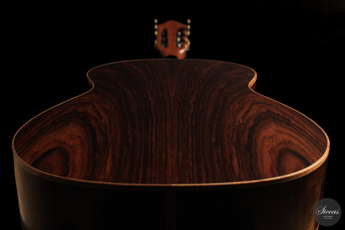 Ashley Sanders - 2026 - No. 77