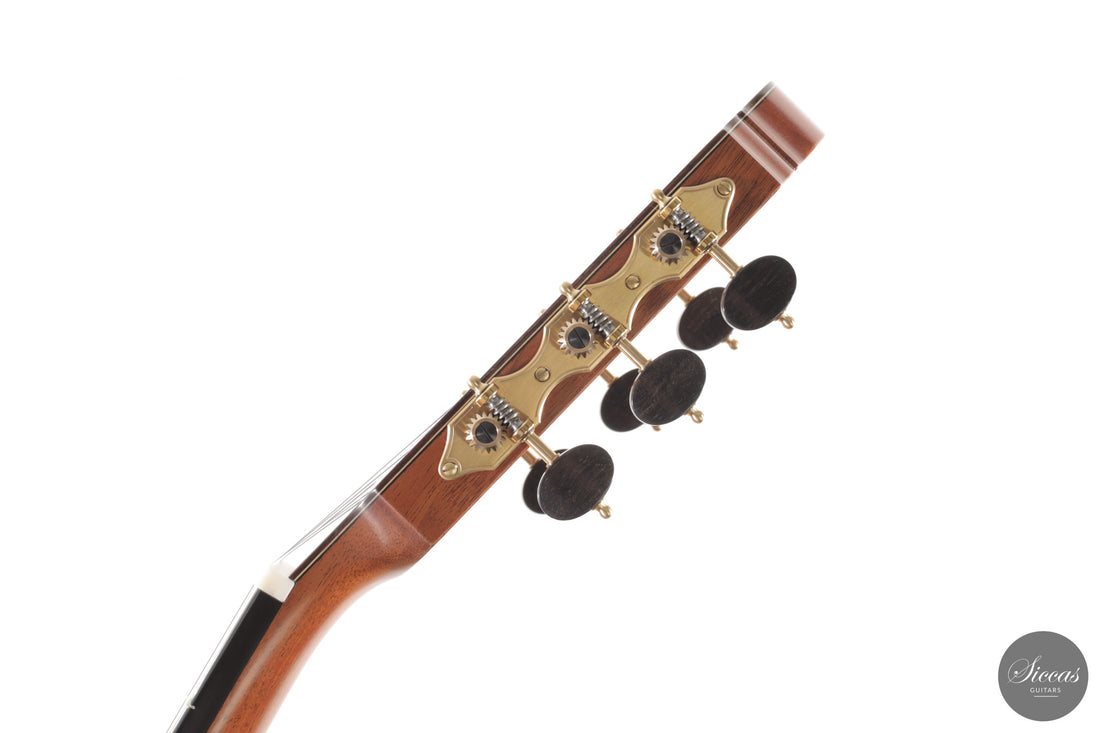 Ashley Sanders - 2026 - No. 77