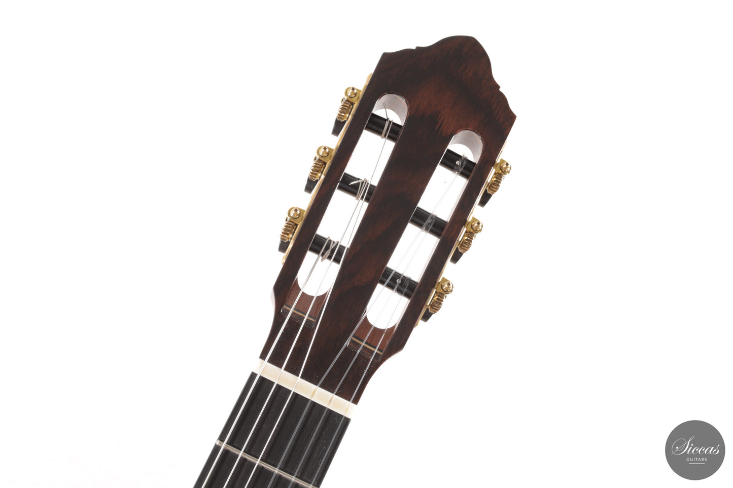 Ashley Sanders - 2026 - No. 77