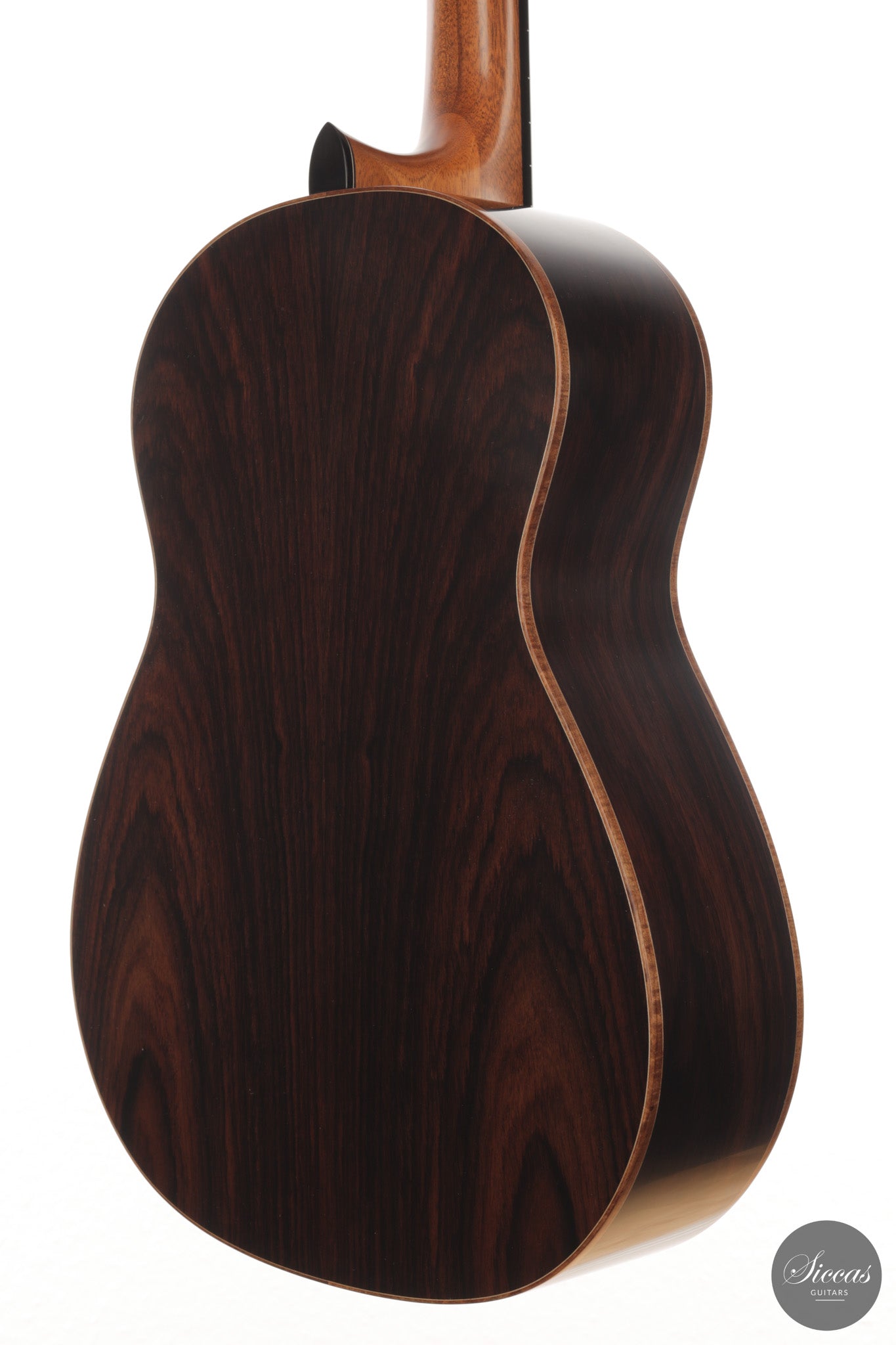 Ashley Sanders - 2026 - No. 77