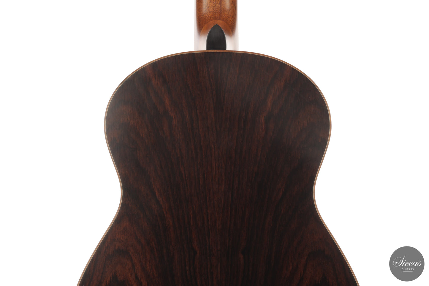 Ashley Sanders - 2026 - No. 77