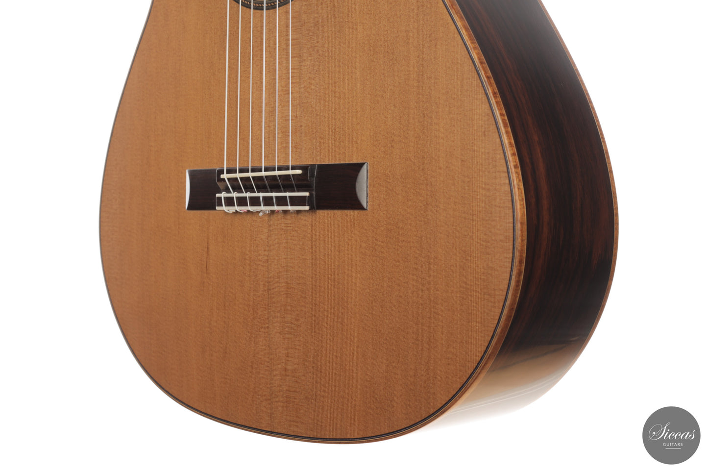 Ashley Sanders - 2026 - No. 77