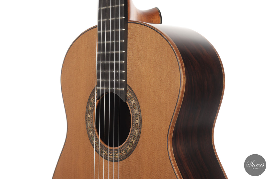 Ashley Sanders - 2026 - No. 77