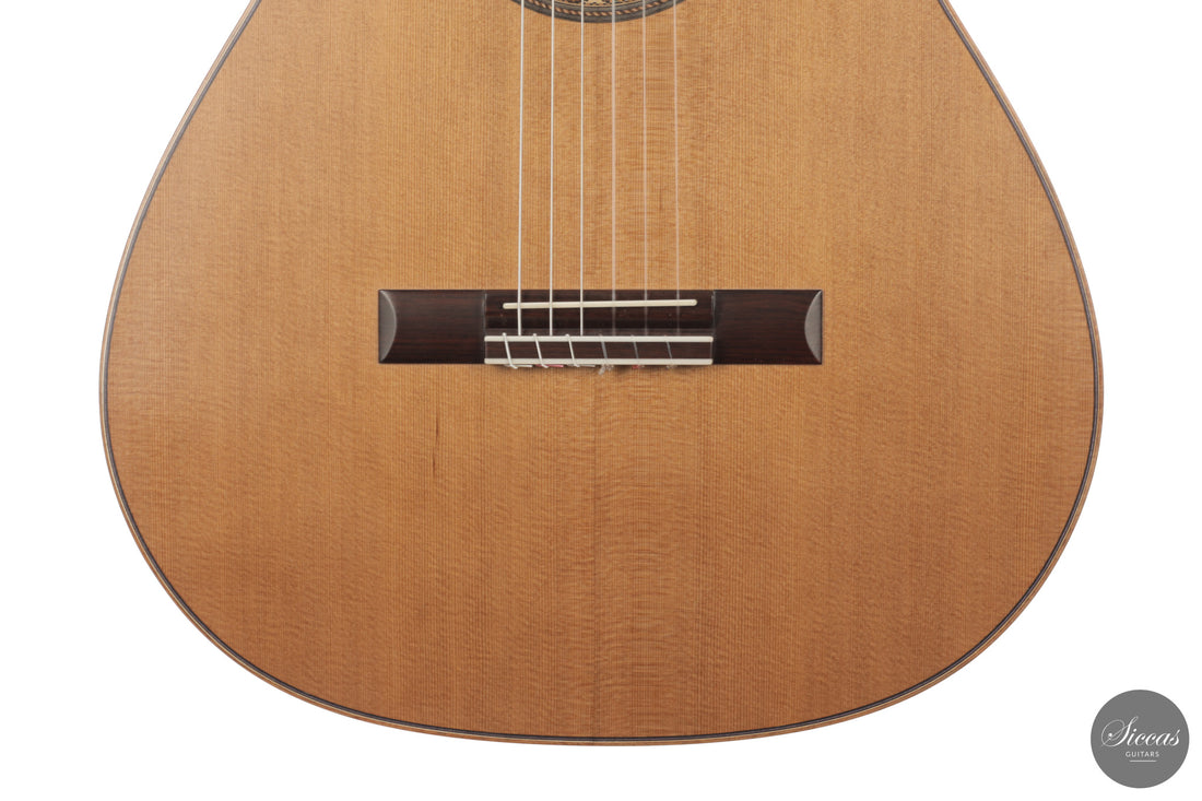 Ashley Sanders - 2026 - No. 77