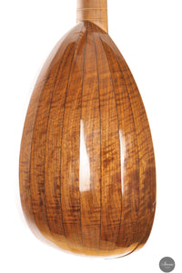 Chiara Frisio - 2024 - 8-course Renaissance Lute