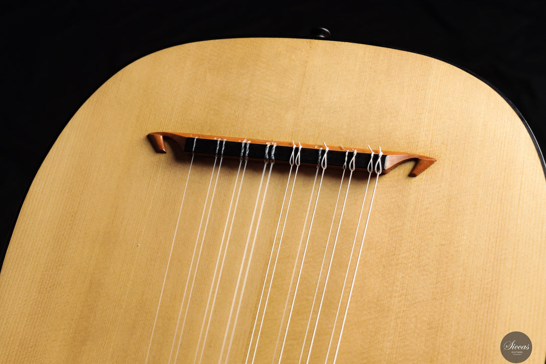 Chiara Frisio - 2024 - 8-course Renaissance Lute