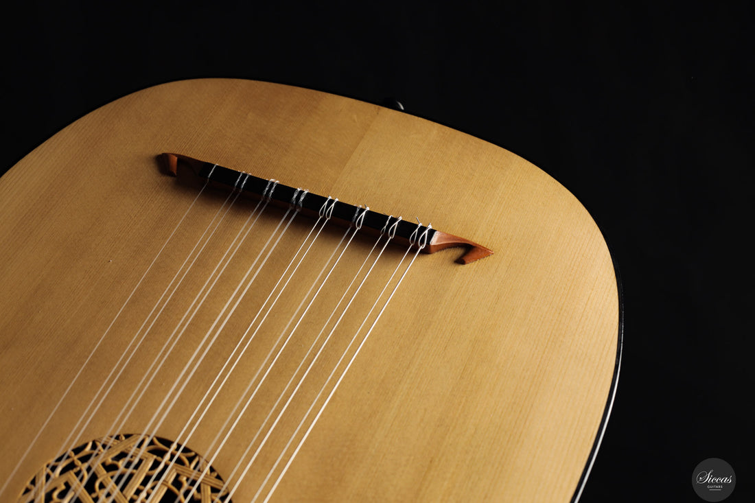 Chiara Frisio - 2024 - 8-course Renaissance Lute