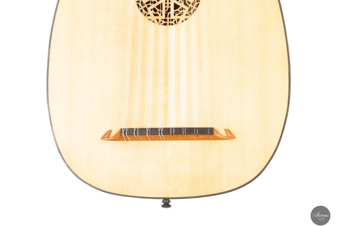 Chiara Frisio - 2024 - 8-course Renaissance Lute