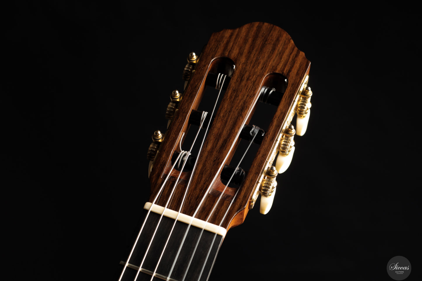 Chiara Frisio - 2025 - No. 10