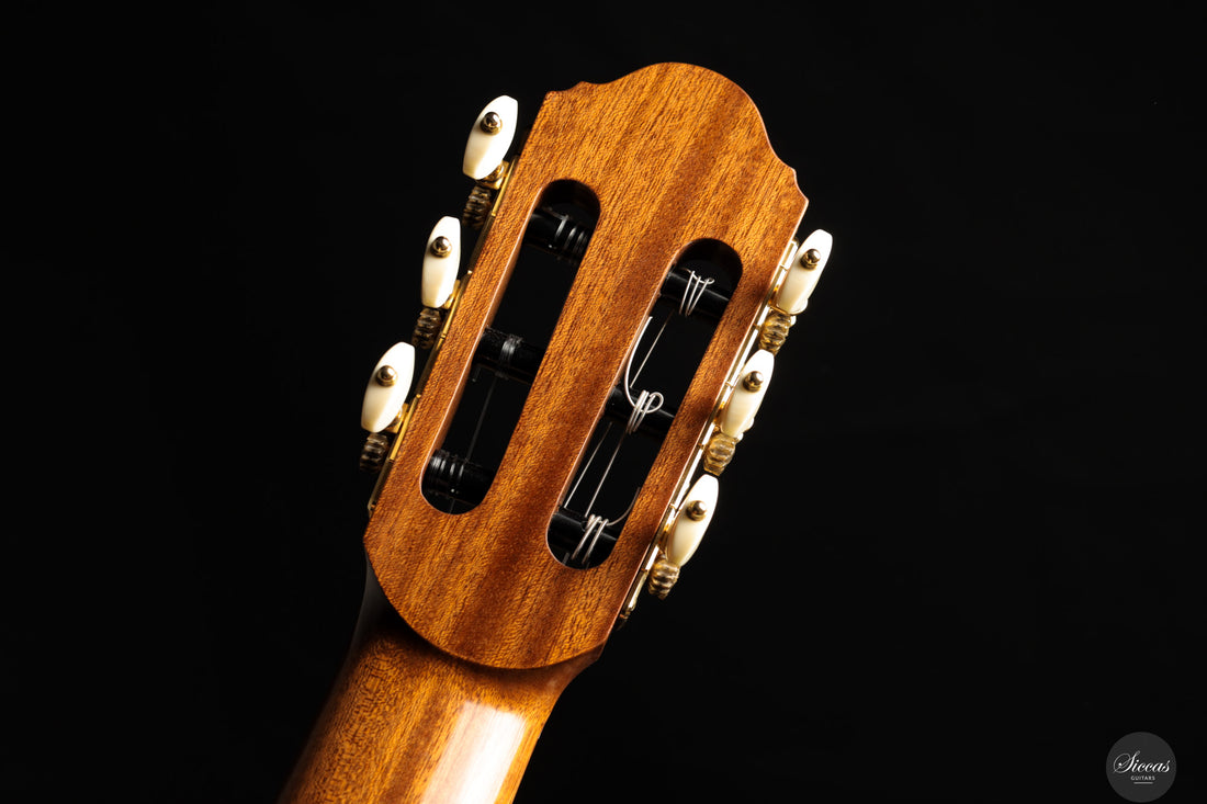 Chiara Frisio - 2025 - No. 10