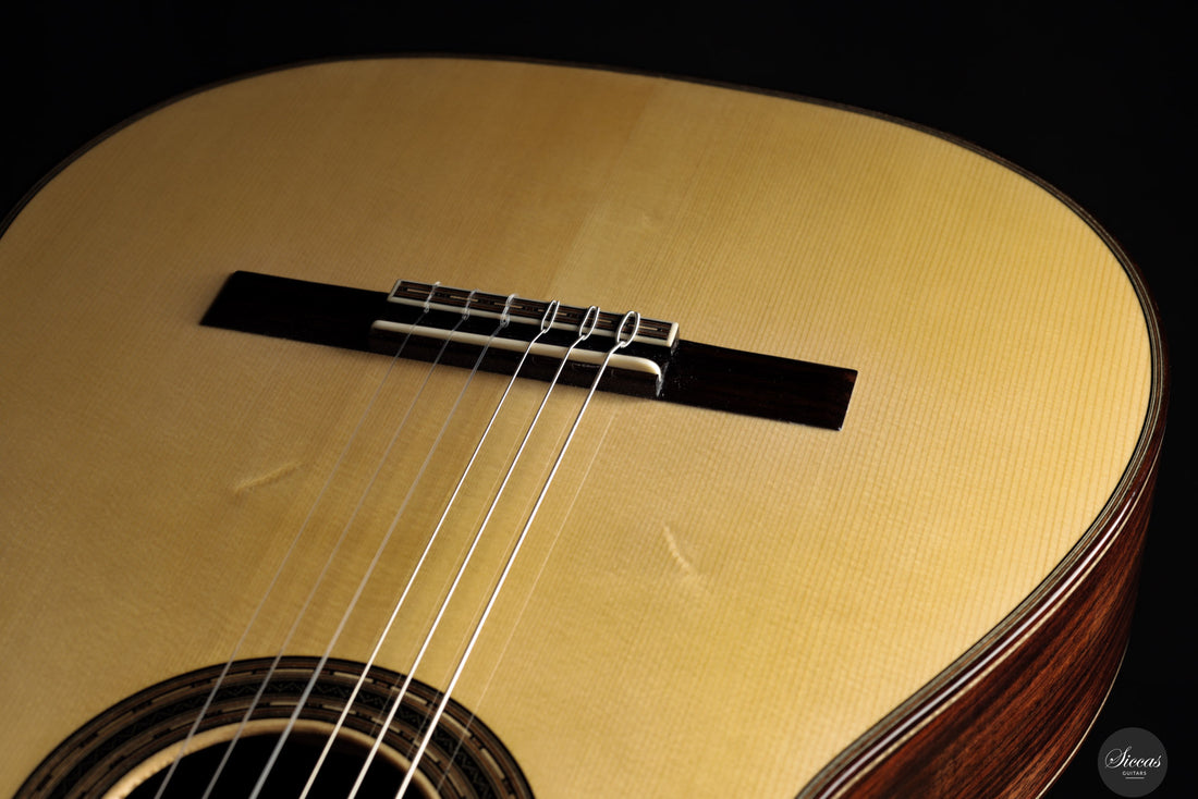 Chiara Frisio - 2025 - No. 10