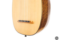 Chiara Frisio - 2024 - 8-course Renaissance Lute