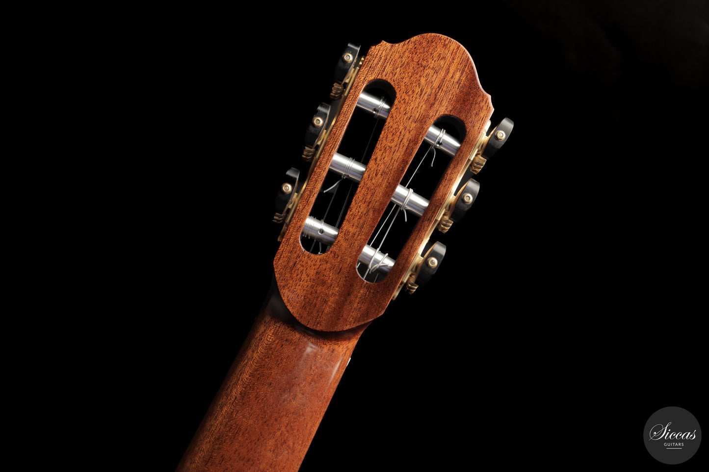 Chiara Frisio - 2026 No. 11