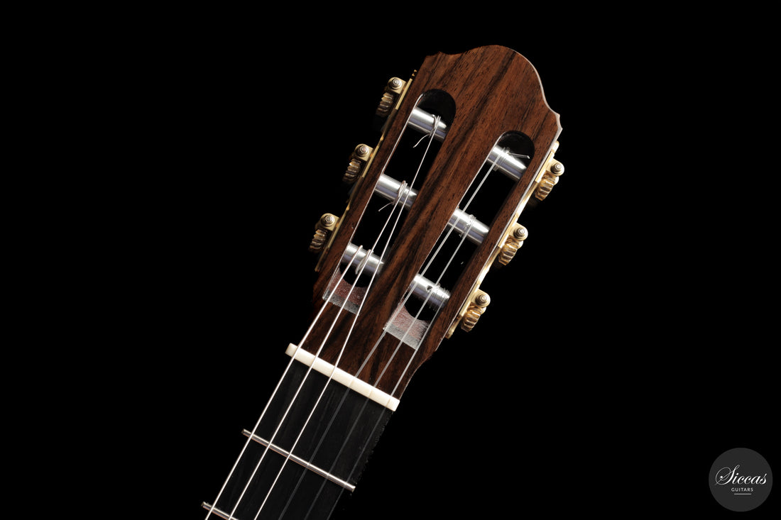 Chiara Frisio - 2026 No. 11