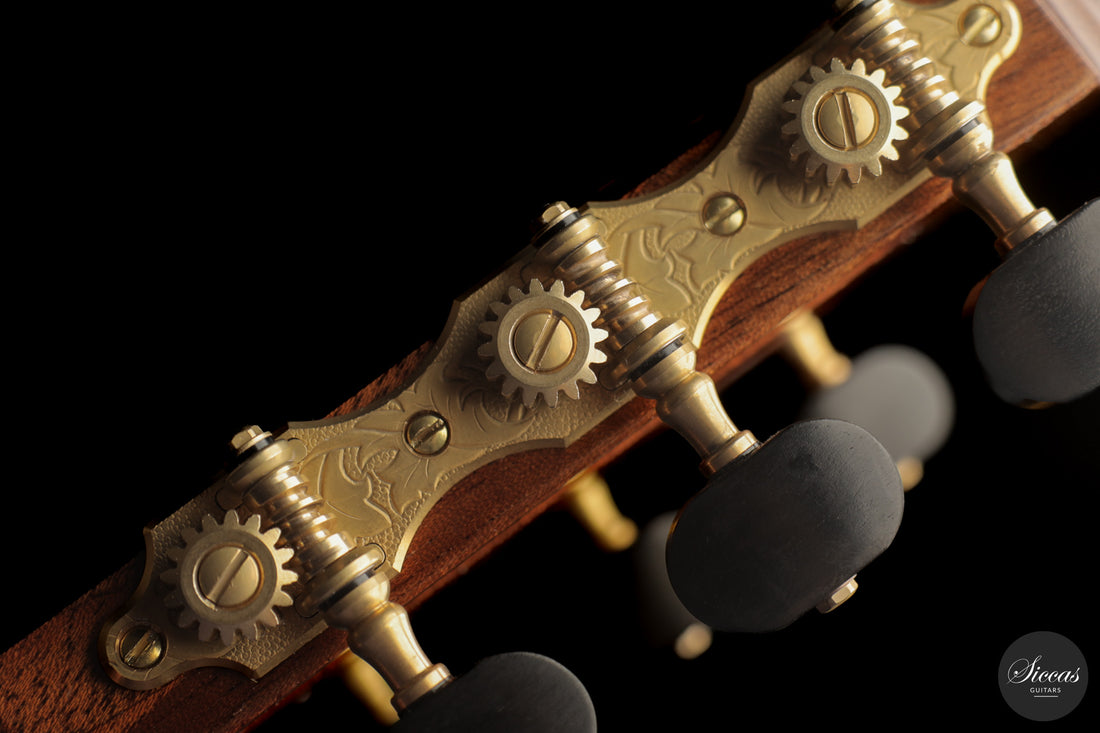 Chiara Frisio - 2026 No. 11