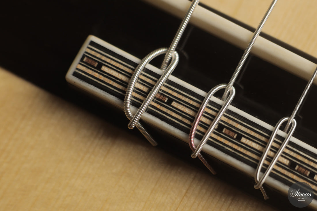 Chiara Frisio - 2026 No. 11