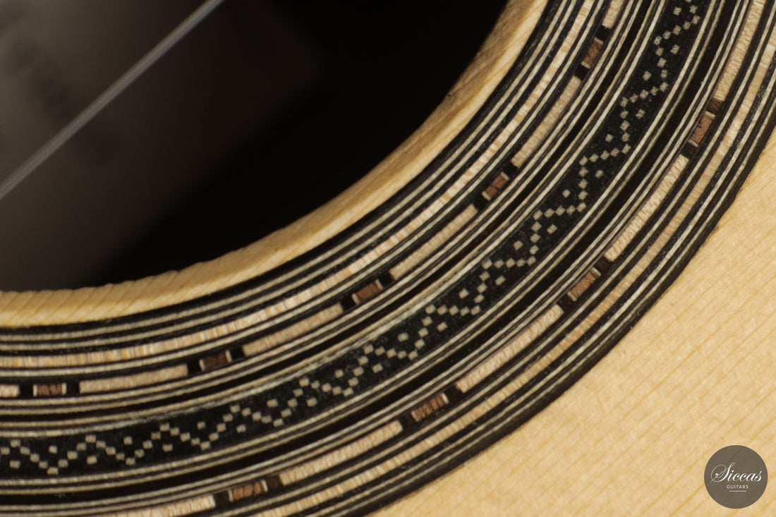 Chiara Frisio - 2026 No. 11