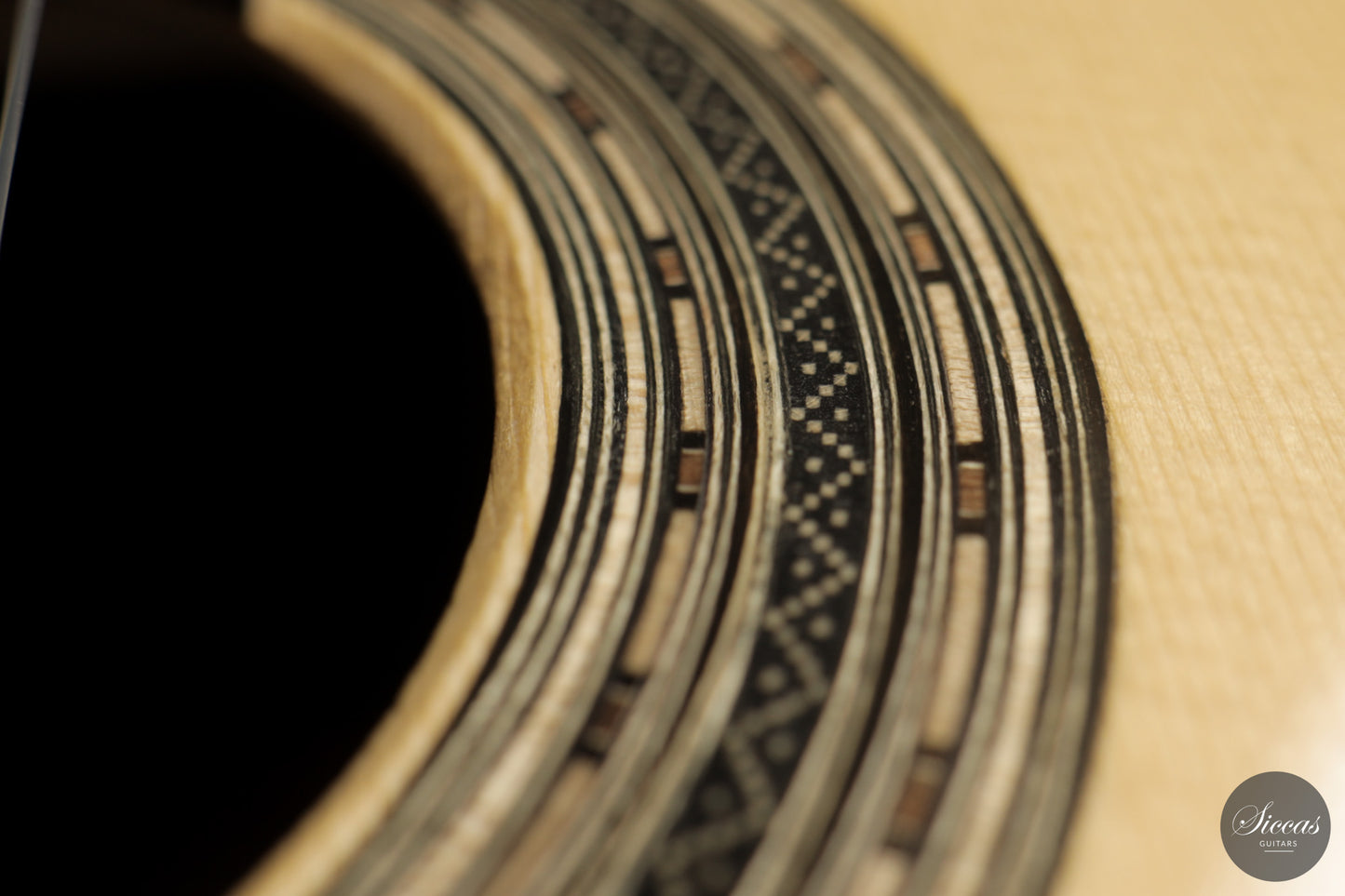 Chiara Frisio - 2026 No. 11