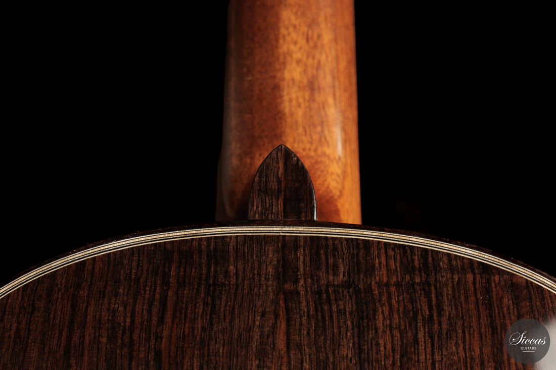 Chiara Frisio - 2026 No. 11