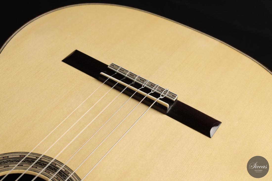 Chiara Frisio - 2026 No. 11