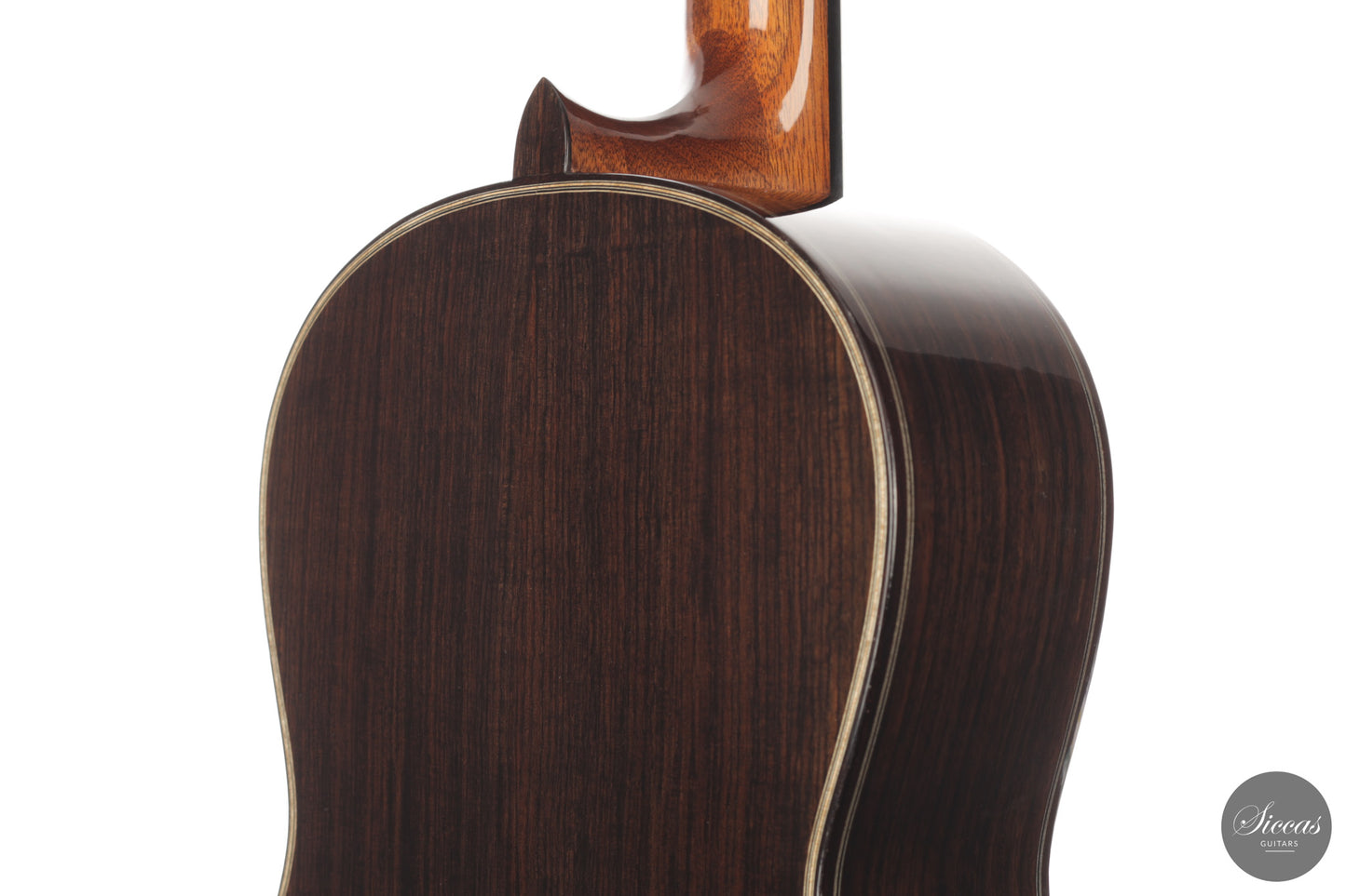 Chiara Frisio - 2026 No. 11