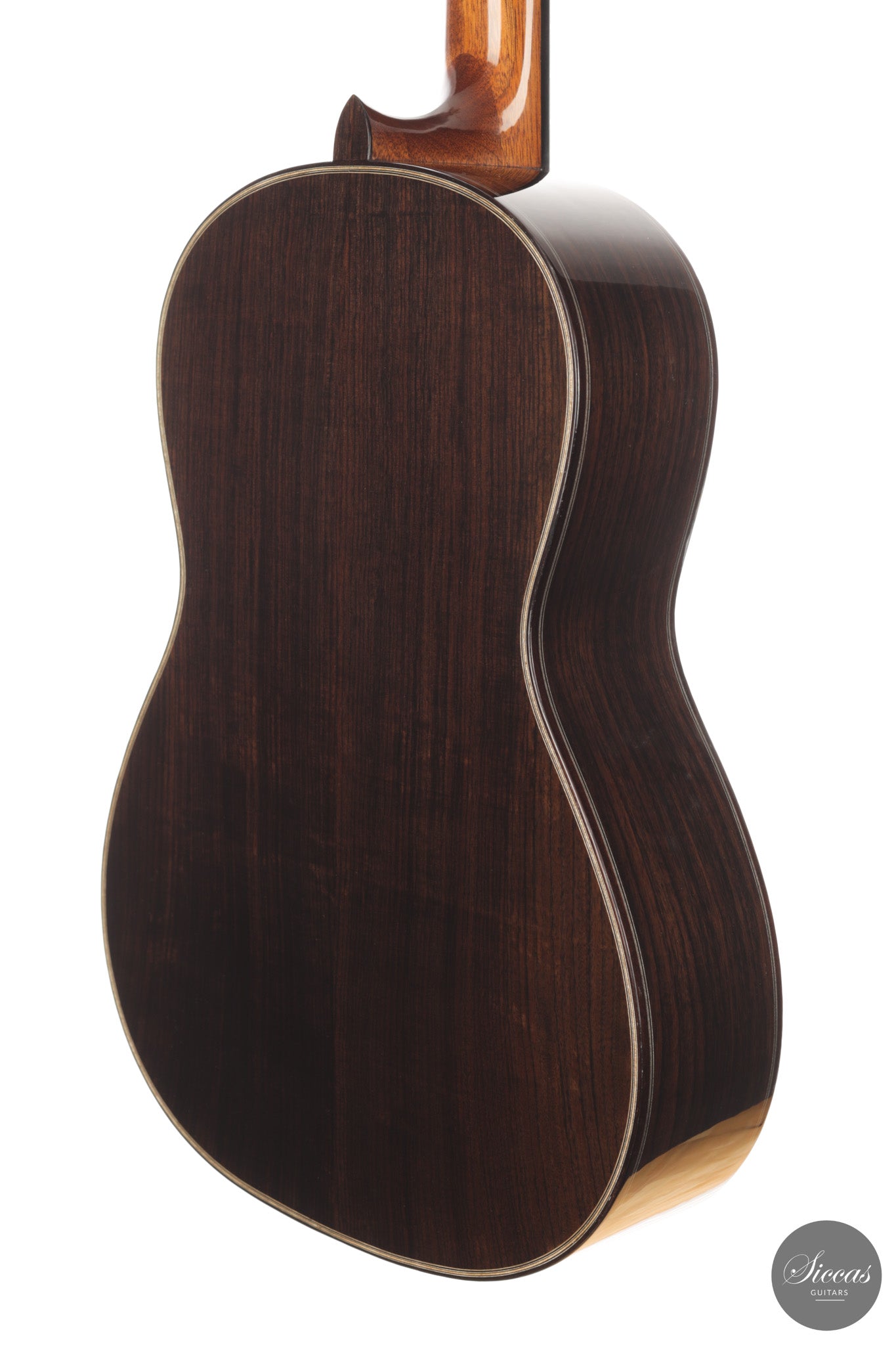 Chiara Frisio - 2026 No. 11