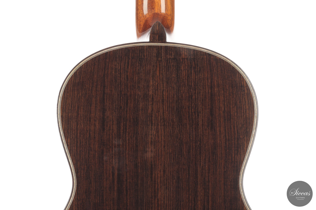 Chiara Frisio - 2026 No. 11