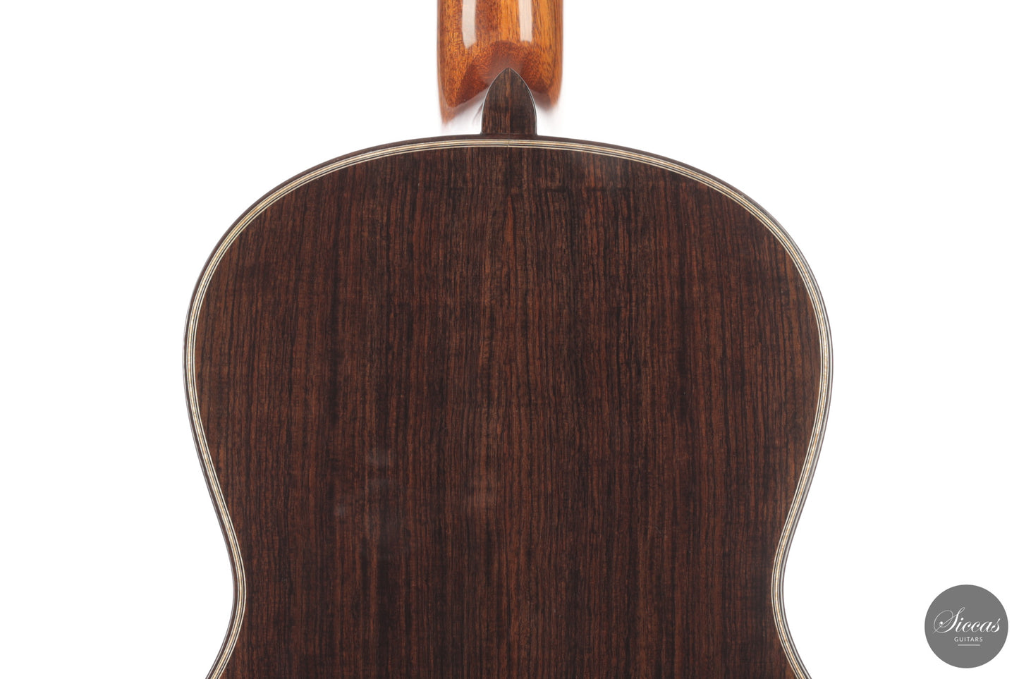 Chiara Frisio - 2026 No. 11