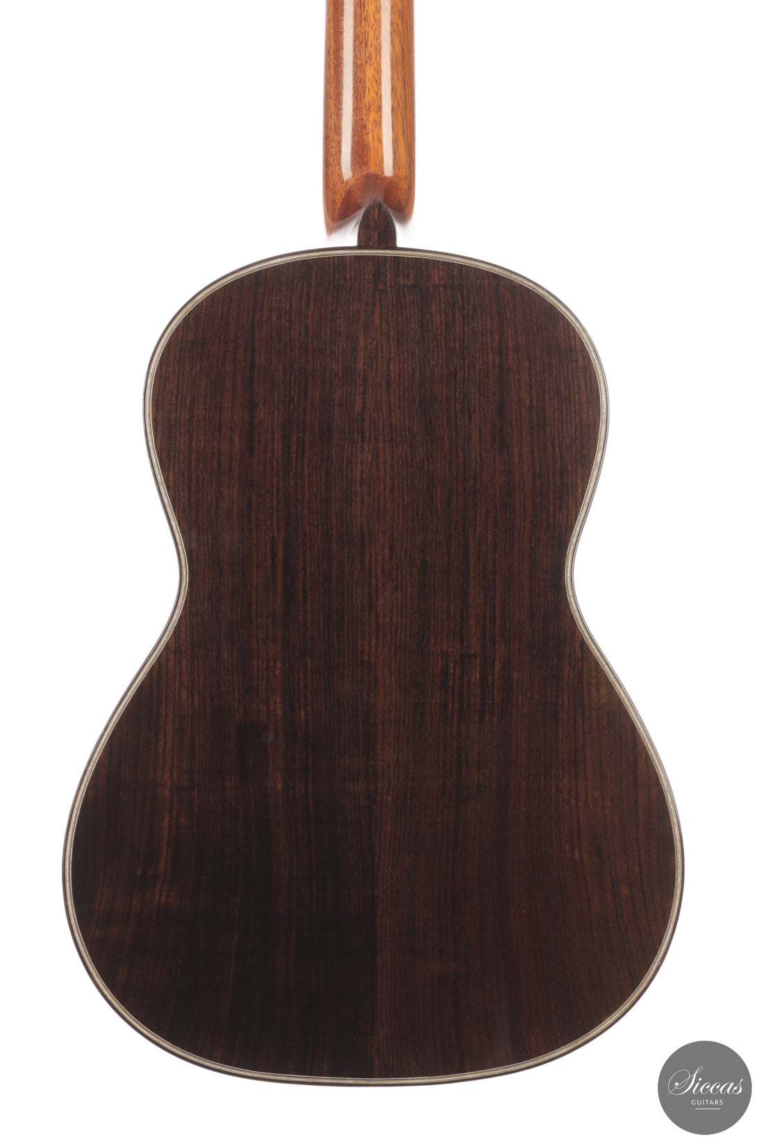 Chiara Frisio - 2026 No. 11