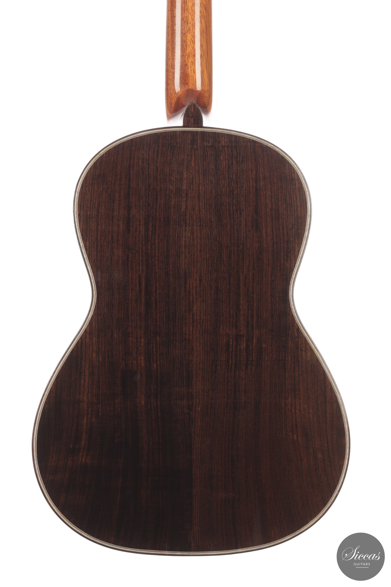 Chiara Frisio - 2026 No. 11