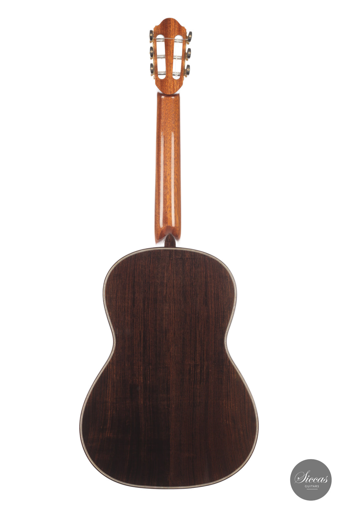 Chiara Frisio - 2026 No. 11