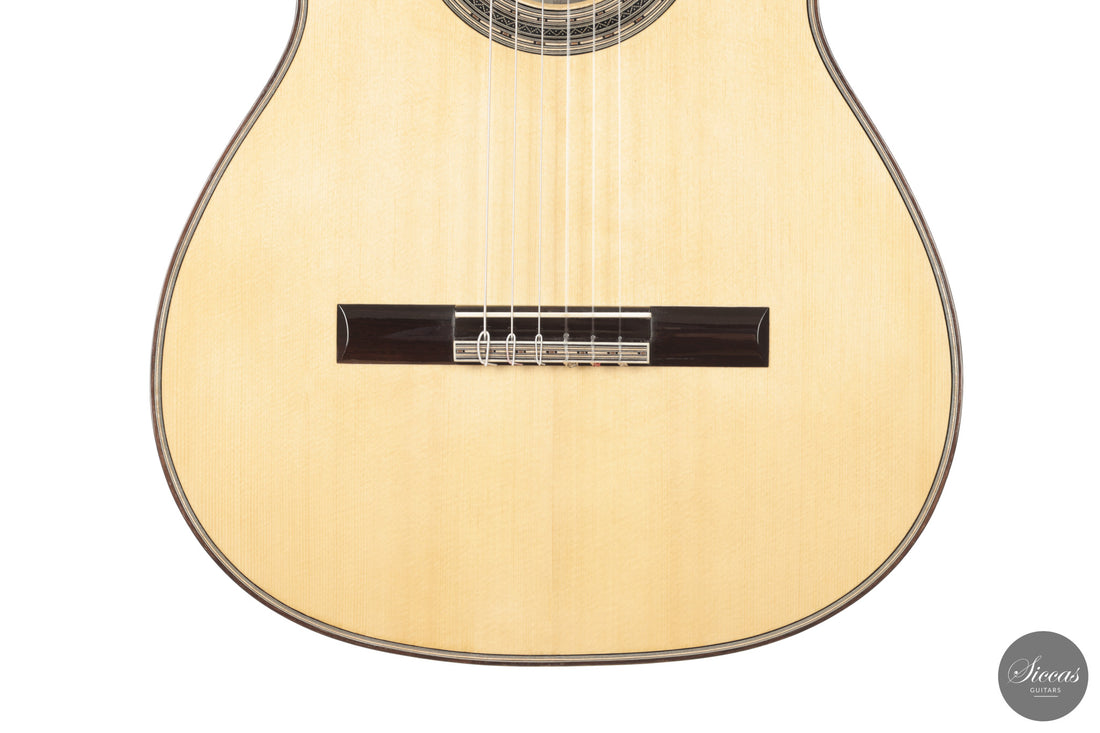 Chiara Frisio - 2026 No. 11