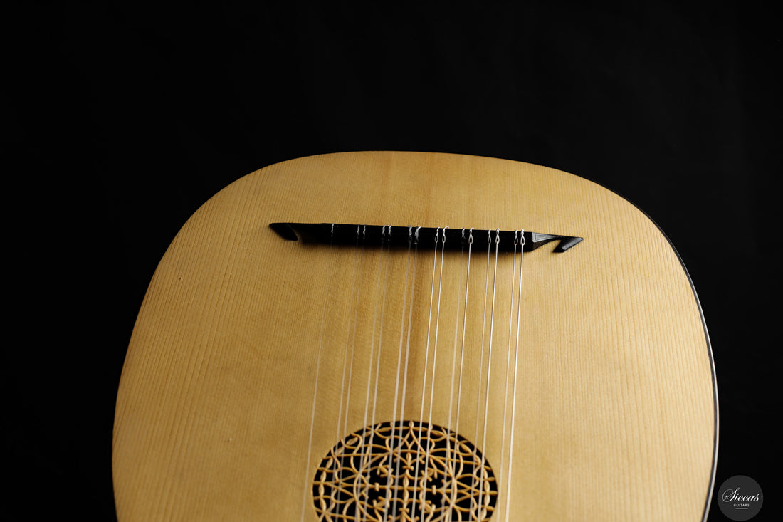 Chiara Frisio - 2025 8 course renaissance lute (Hieber 8c)