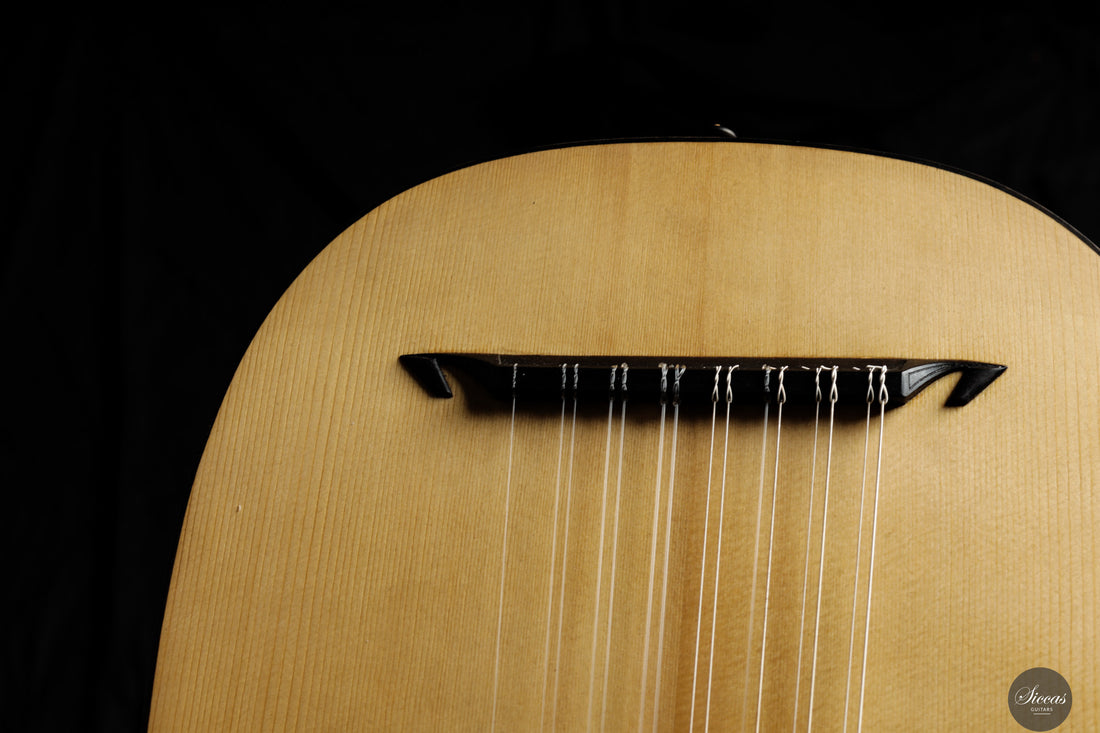 Chiara Frisio - 2025 8 course renaissance lute (Hieber 8c)