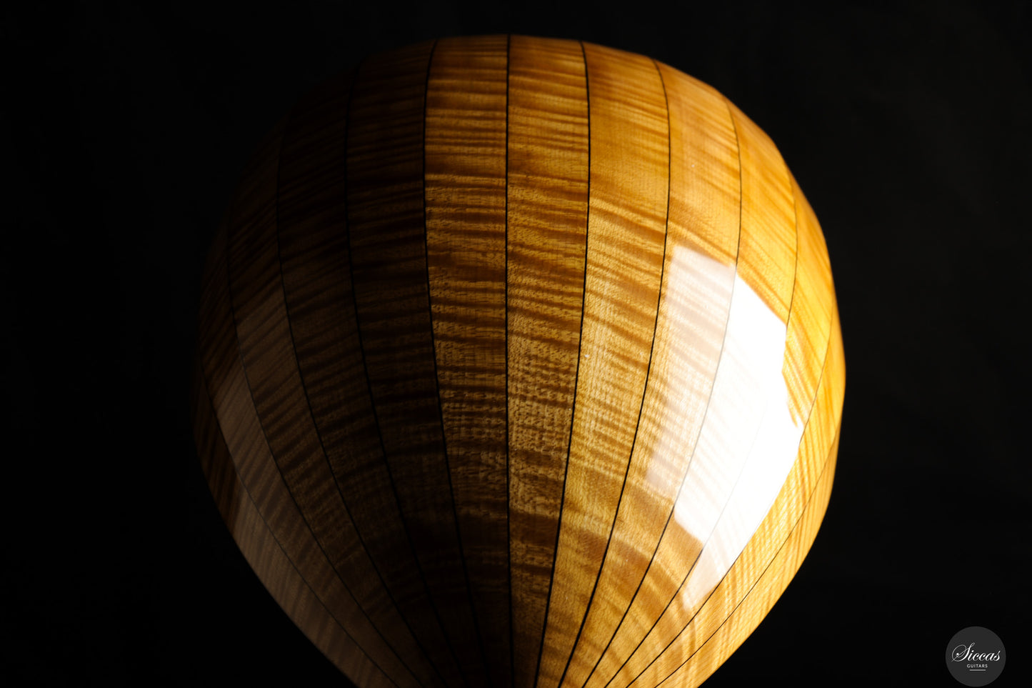 Chiara Frisio - 2025 8 course renaissance lute (Hieber 8c)