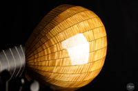 Chiara Frisio - 2025 8 course renaissance lute (Hieber 8c)