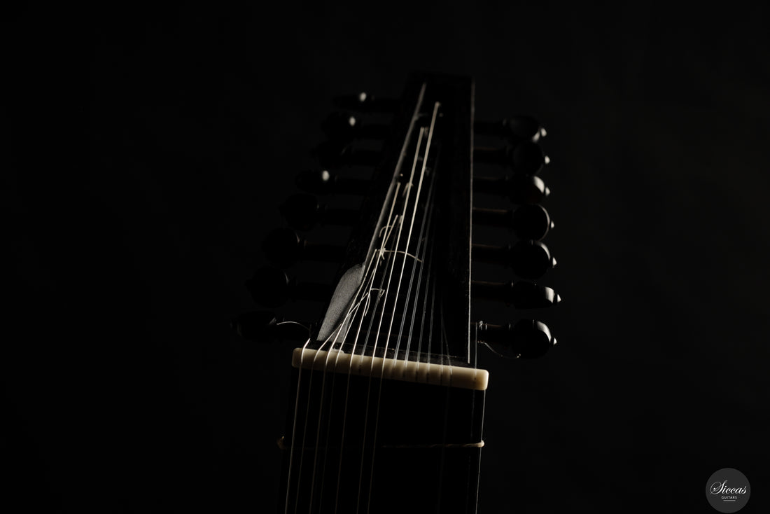 Chiara Frisio - 2025 8 course renaissance lute (Hieber 8c)