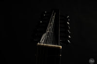 Chiara Frisio - 2025 8 course renaissance lute (Hieber 8c)