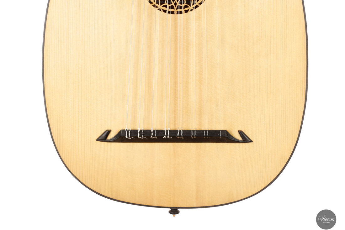 Chiara Frisio - 2025 8 course renaissance lute (Hieber 8c)