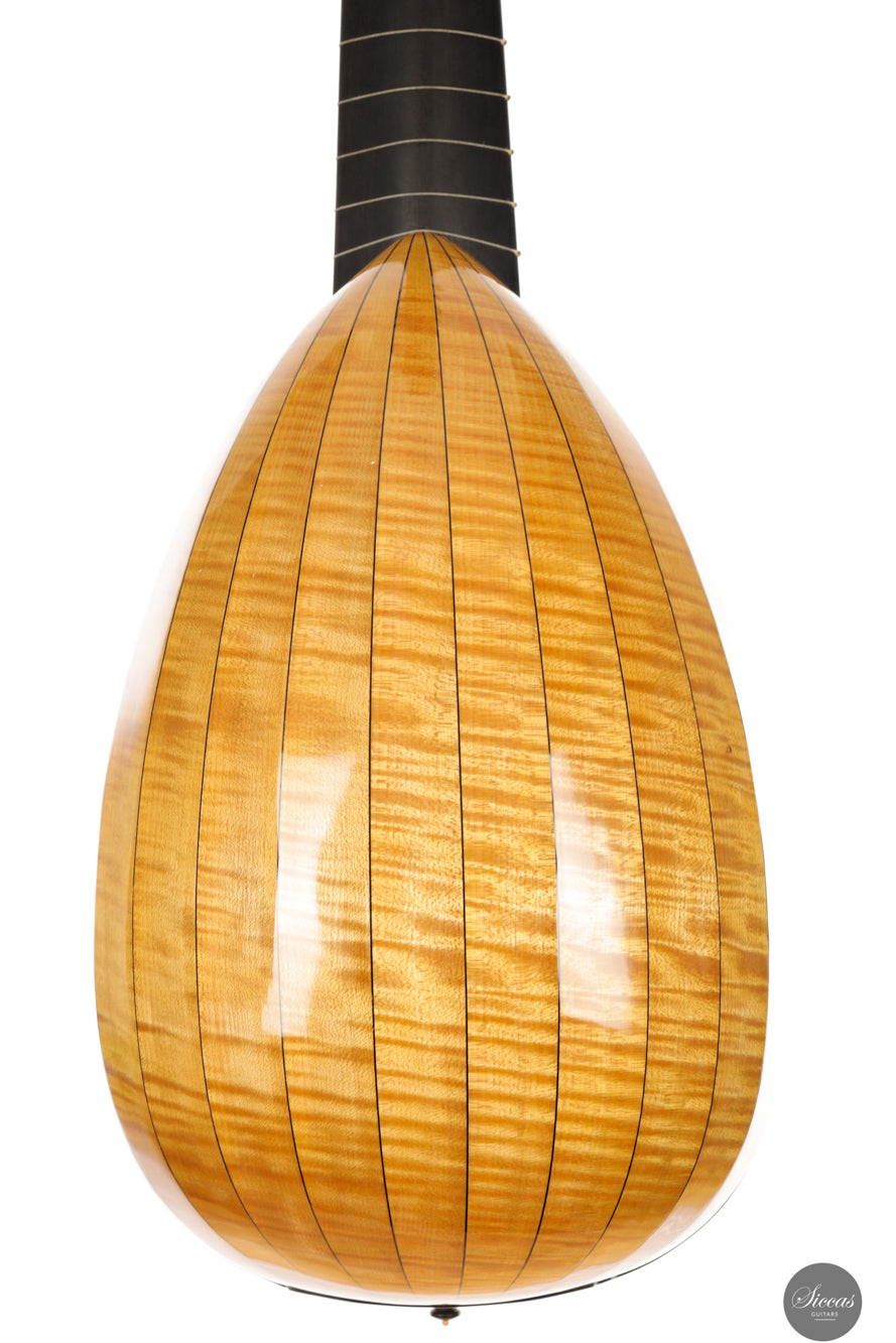 Chiara Frisio - 2025 8 course renaissance lute (Hieber 8c)