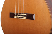 Daniel Friederich - 1985