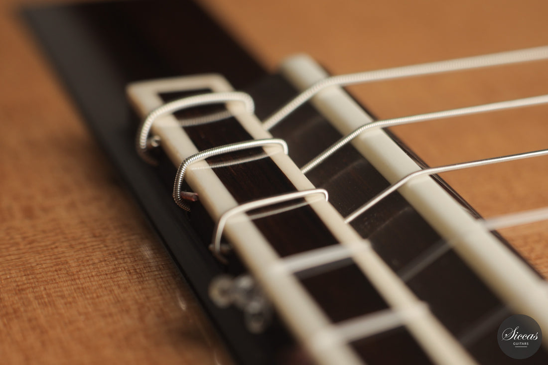 Daniele Chiesa - 2025 Doubletop XXX Aniversary model