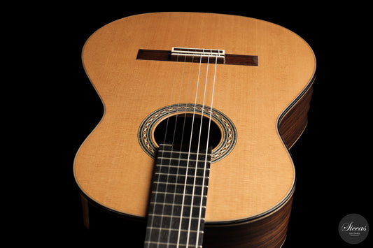 Daniele Chiesa - 2025 Doubletop XXX Aniversary model