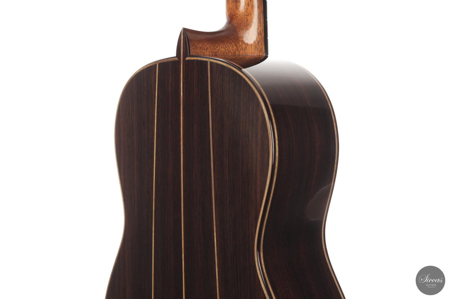 Daniele Marrabello - 2026 No. 194 "Federica" Special Edition