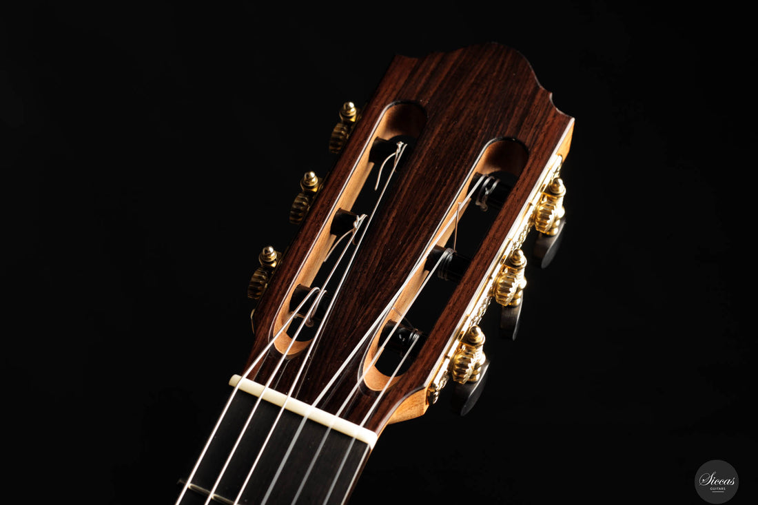 Danilo Bazzana - 2024 No. 67 64 cm